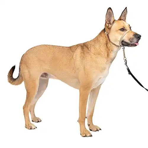 PetSafe Gentle Leader No-Pull Dog Headcollar - The Ultimate Solution to Pulling - Redirects Your Dog's Pulling for Easier Walks - Helps You Regain Control - Medium, Fawn