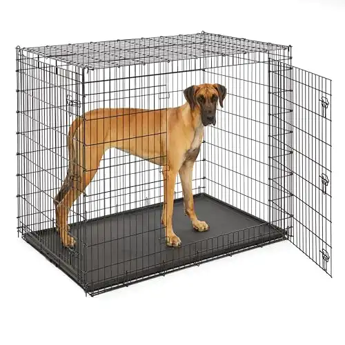 Midwest Homes for Pets Ginormous Double Door 54-Inch Dog Crate for XXL Dogs Breeds; Great Dane, Mastiff, St. Bernard, Drop Pin Assembly Requires Two People; Divider Panel Not Included; Black: SL54DD